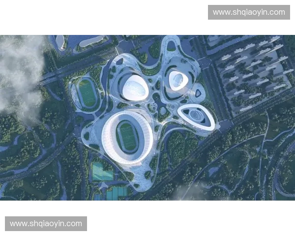 国家奥林匹克体育中心周边发展规划与未来城市建设战略探讨