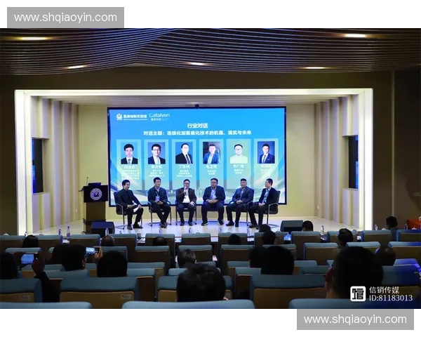 捷克斯洛伐克足球联赛历史与发展：从黄金时代到解体后的变革与挑战